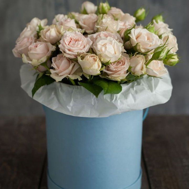 Бокс с бомбастиком в Ярославле