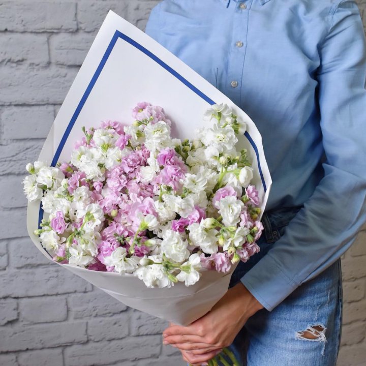 Маттиола в Ярославле