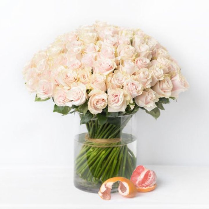 101 кремовая роза в Ярославле