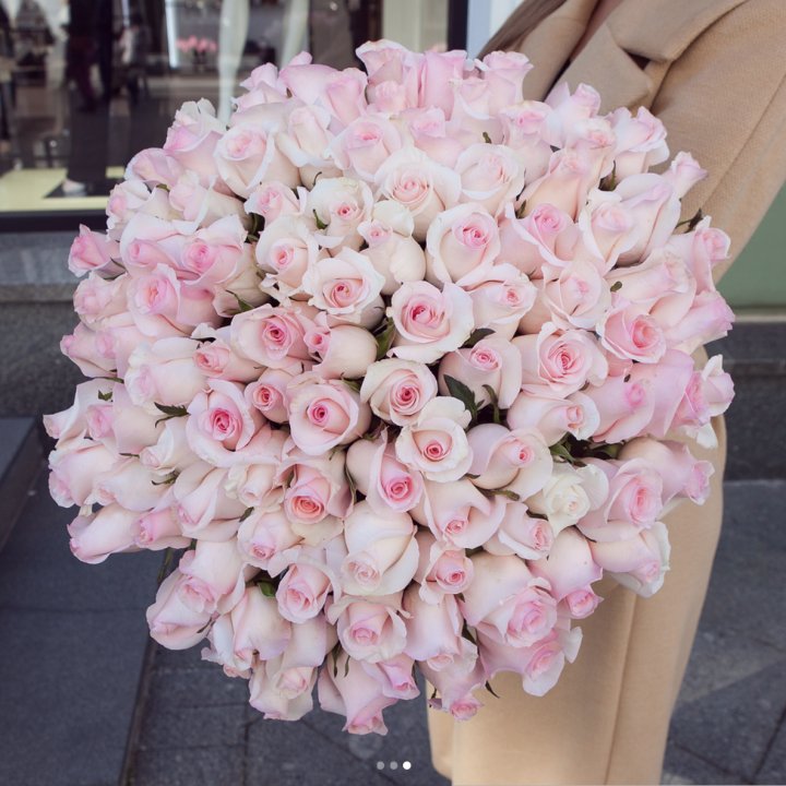 Розы "Пинк бум" в Ярославле