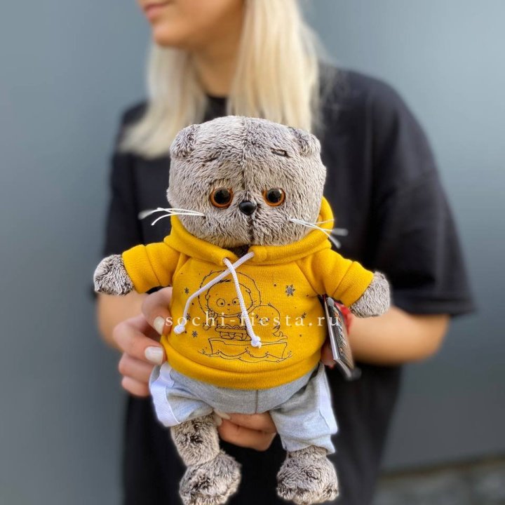 Кот Басик в худи в Ярославле