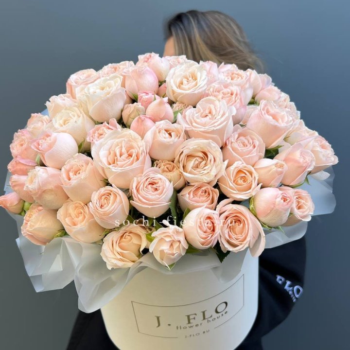 Бомбастик бокс Премьер в Ярославле