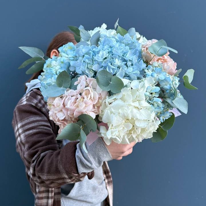 Гортензии в коробочке в Ярославле