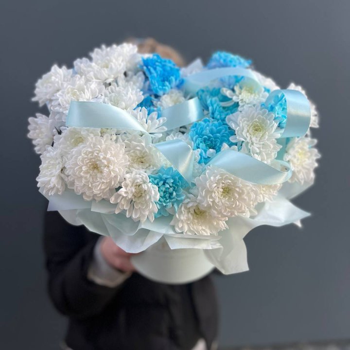 Хризнтемы в боксе в Ярославле