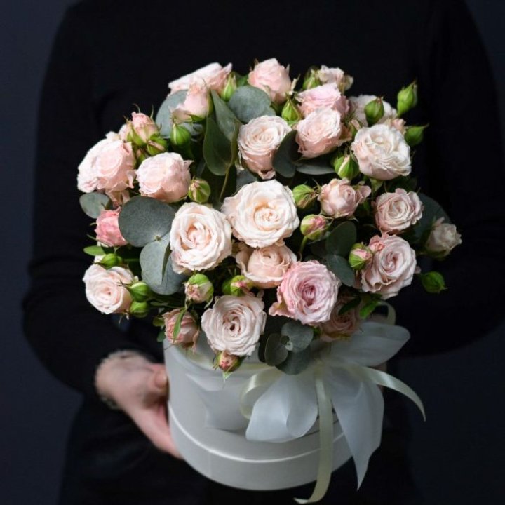 Бомбастик бокс №2 в Ярославле