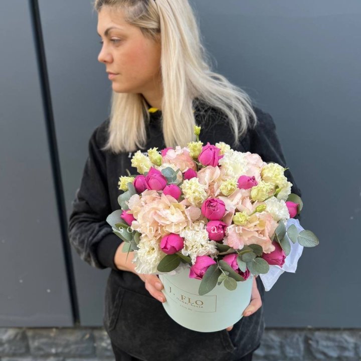 Сборный бокс премьер в Ярославле