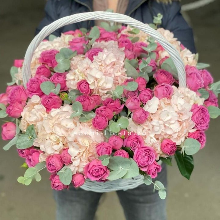 Корзина с гортензией и Мисти Баблс в Ярославле