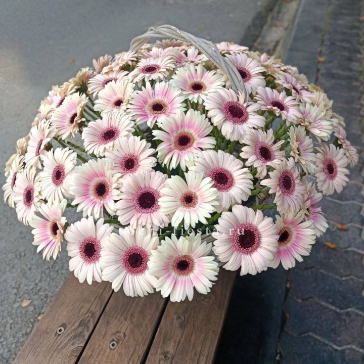 Корзина с герберами  в Ярославле