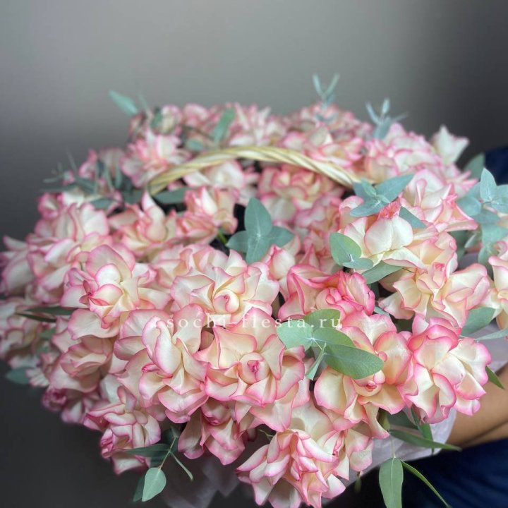 51 джумилия  в корзине   в Ярославле