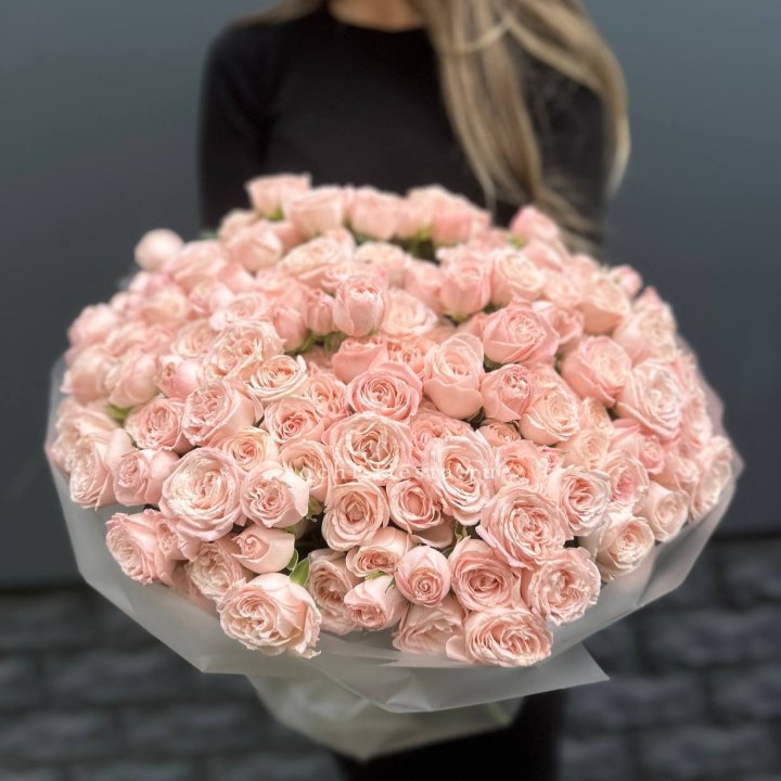 51 кустовая роза Бомбастик в Ярославле