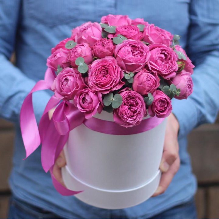 Бокс мисти баблс в Ярославле