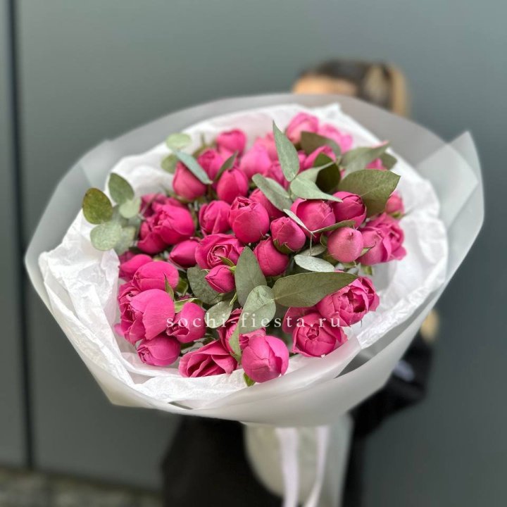 17 Мисти бабблс в Ярославле