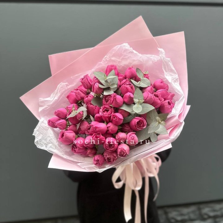 25 Мисти бабблс в Ярославле