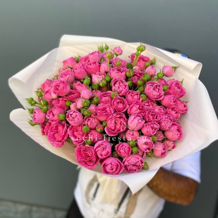 Мисти Баблс 35шт в Ярославле