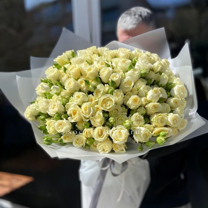 Белые кустовые розы 31 шт в Ярославле