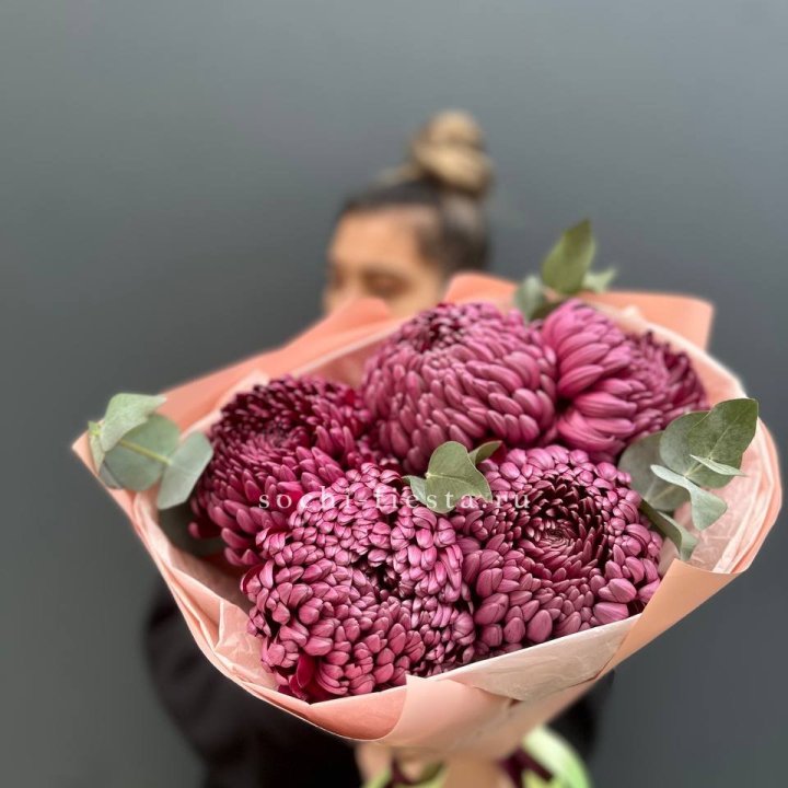 Хризантемы  Бигуди  в Ярославле