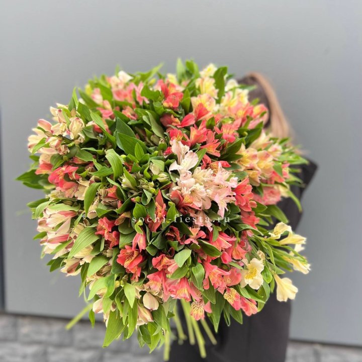 51 альстромерия в Ярославле