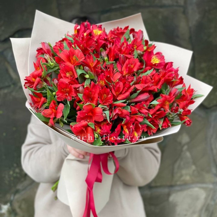 51 альстромерия в Ярославле
