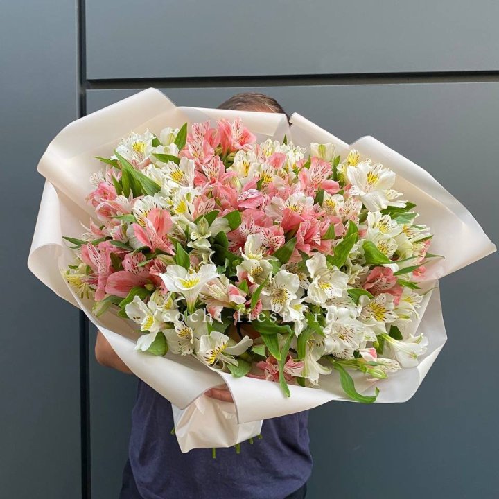 39 альстромерий в Ярославле