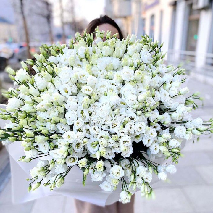 101 белая эустома в Ярославле