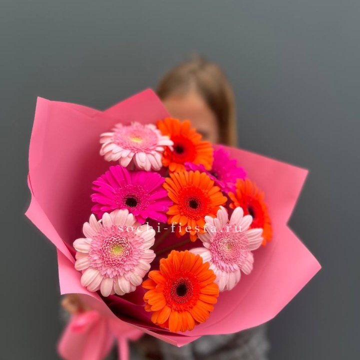 Краски в Ярославле