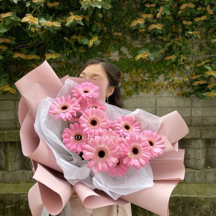 13 розовых гербер в Ярославле