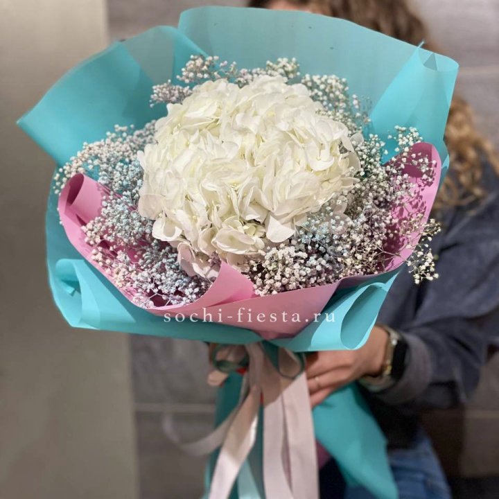 Гортензия "Райдов" в Ярославле