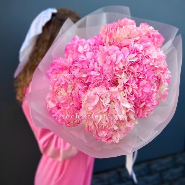 7 ярко розовых гортензий в Ярославле