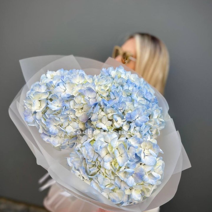 Букет из 3 голубых гортензий  в Ярославле