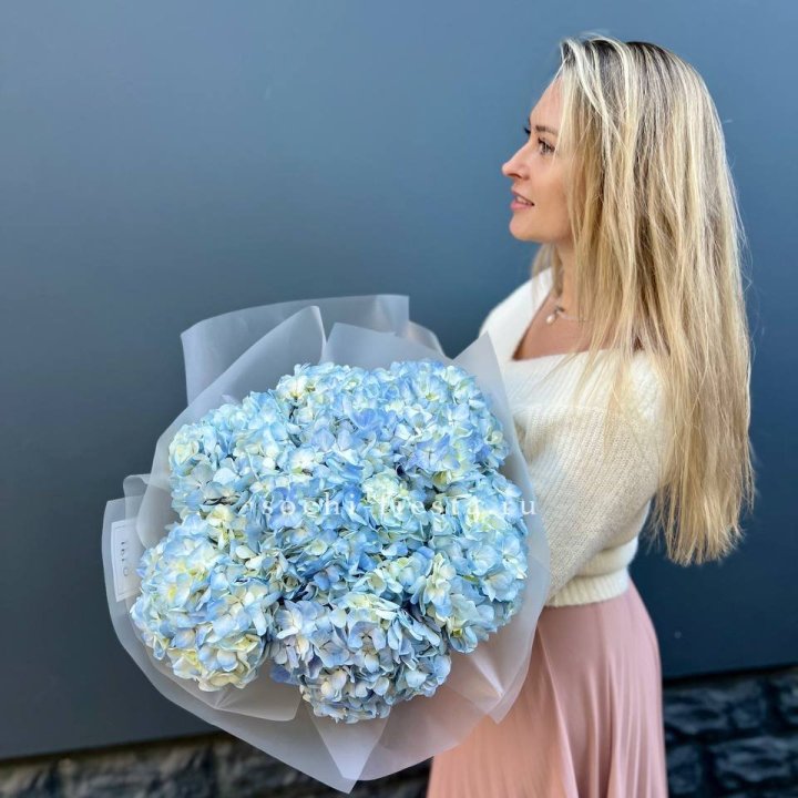 7 голубых гортензий в Ярославле