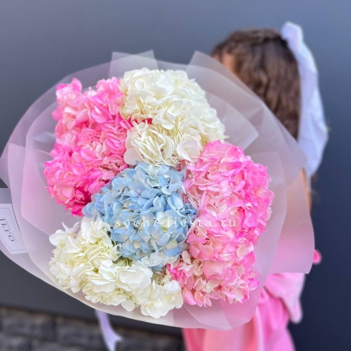 7 гортензий микс в Ярославле