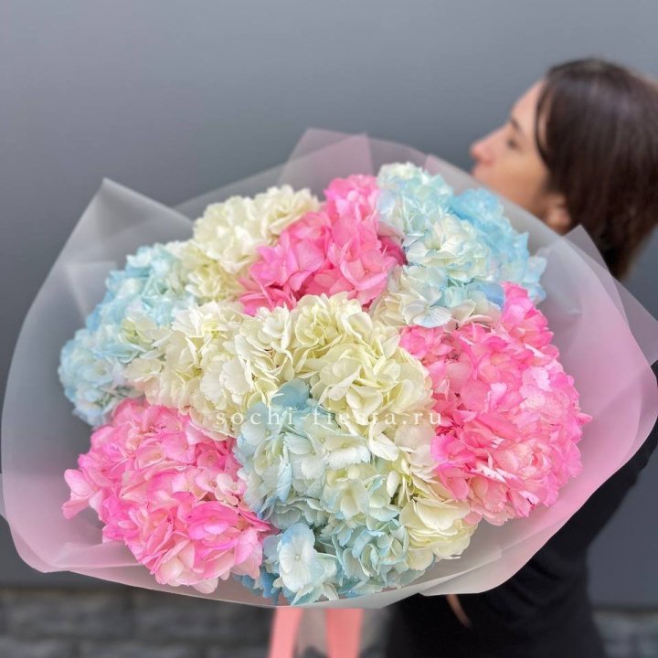 9 гортензий микс в Ярославле