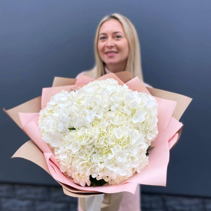 Гортензия белая в Ярославле