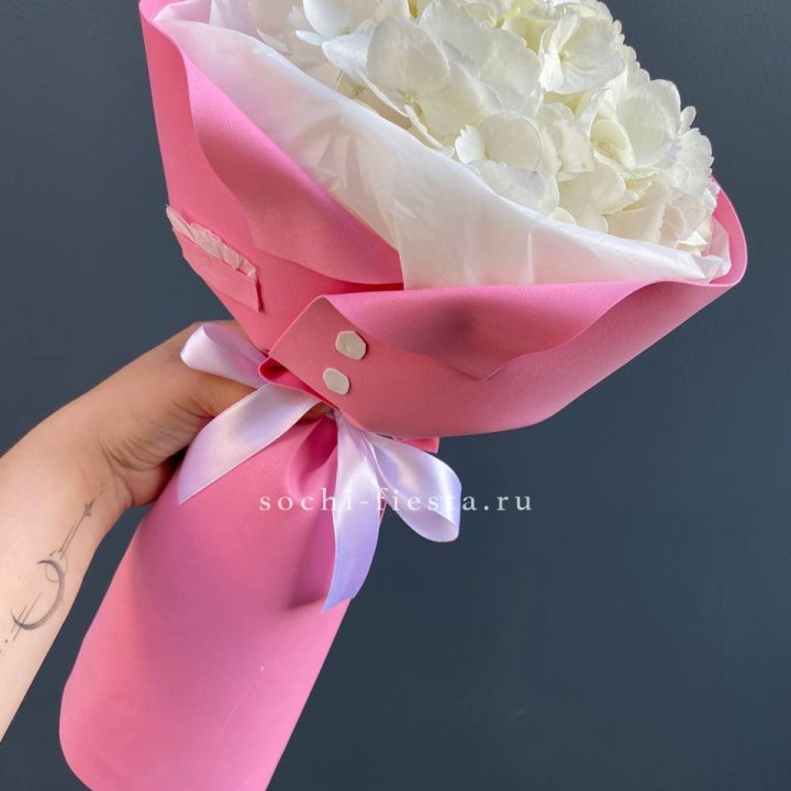 Гортензия в розовом пиджаке в Ярославле