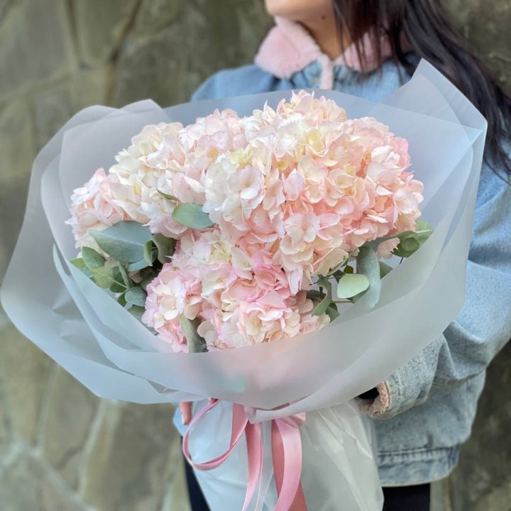 5 розовых гортензий в Ярославле