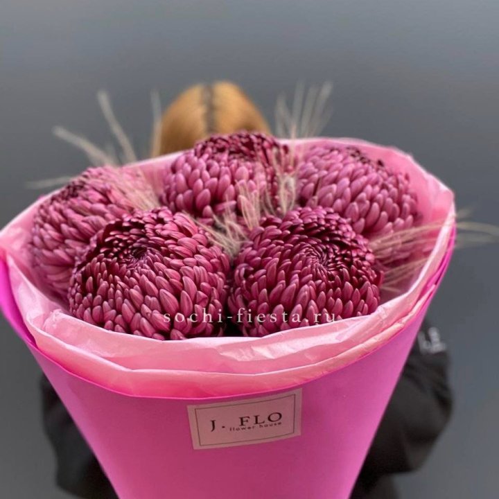 Хризантемы  Бигуди с стифой в Ярославле