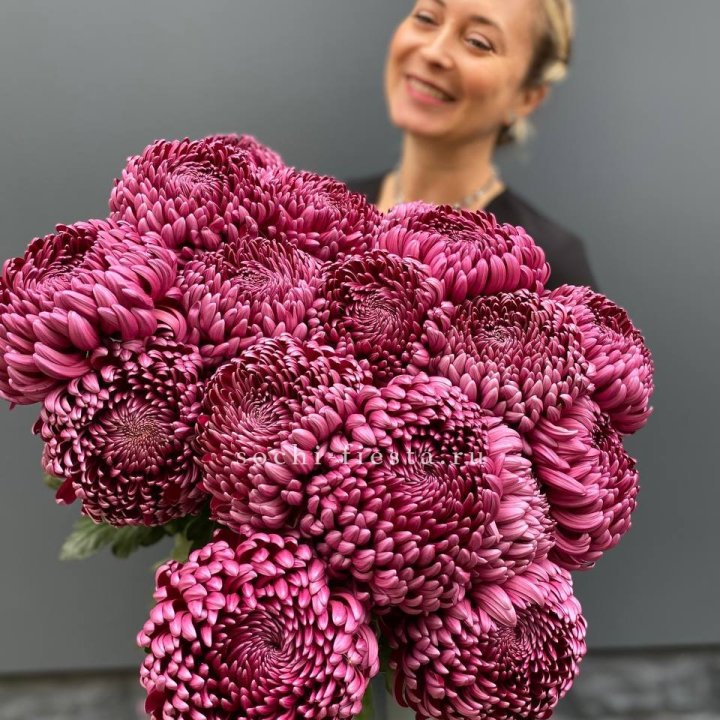 Охапка хризантем Бигуди в Ярославле