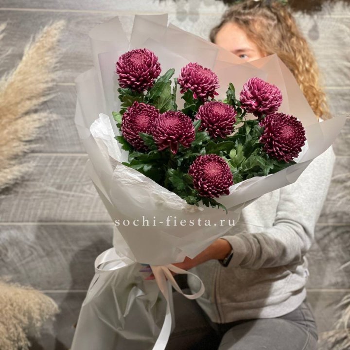 Хризантемы Бигуди в Ярославле