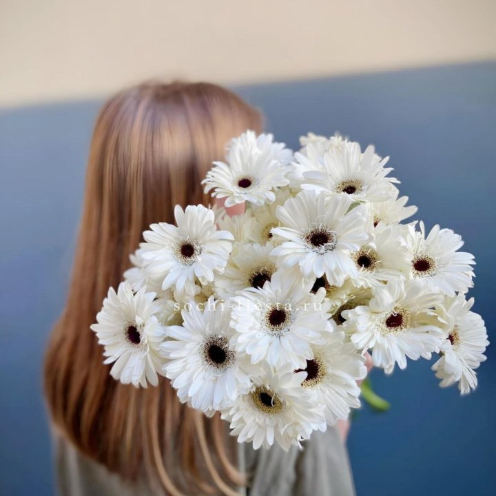 Охапка гербер в Ярославле