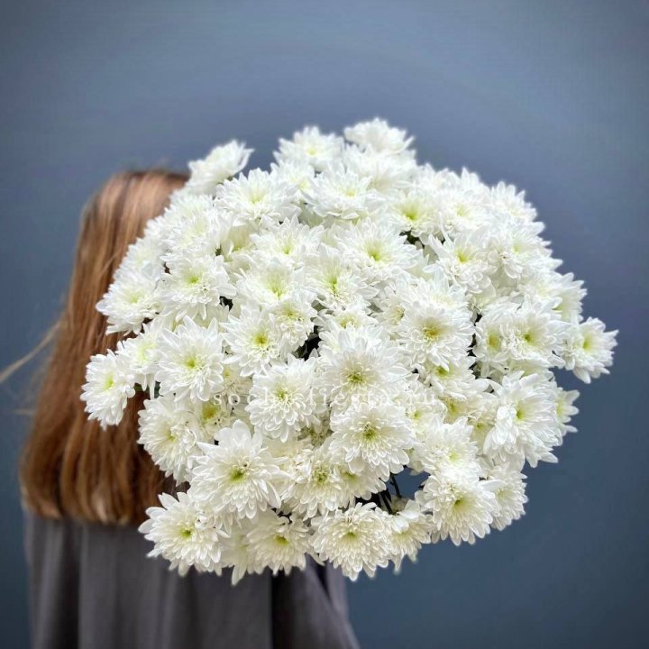 Охапка Хризантемы кустовой в Ярославле