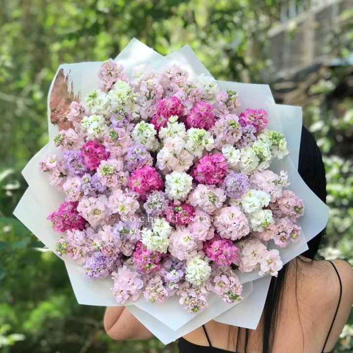 Букет ароматной маттиоллы №3 в Ярославле