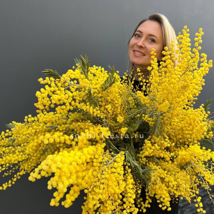 Охапка мимозы №2 в Ярославле