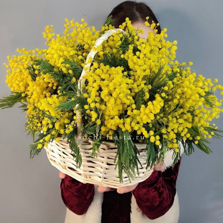 Корзина ароматной мимозы в Ярославле
