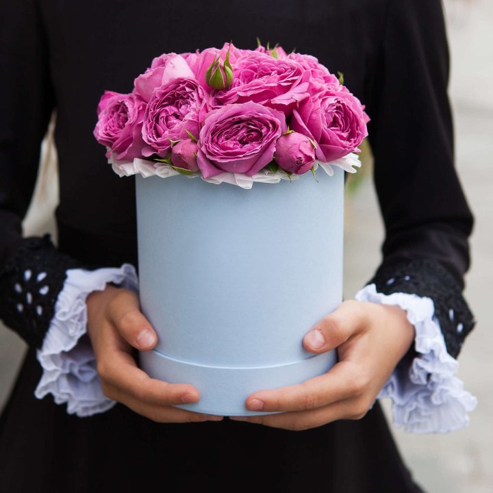 Бокс мини мисти в Ярославле