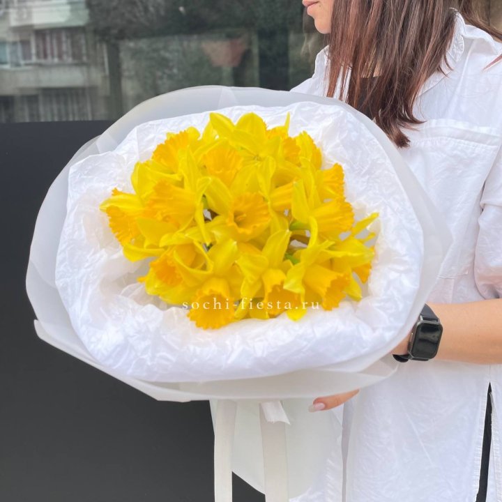 Нарциссы 25 шт в Ярославле