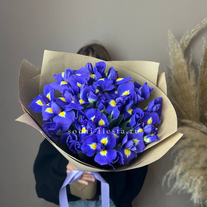 Ирисы в Ярославле