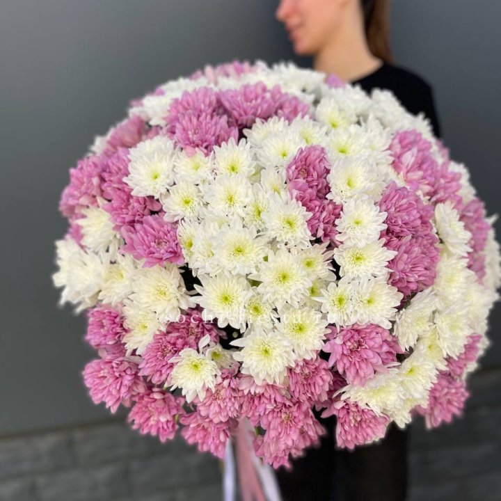  Букет 25 хризантем микс в Ярославле