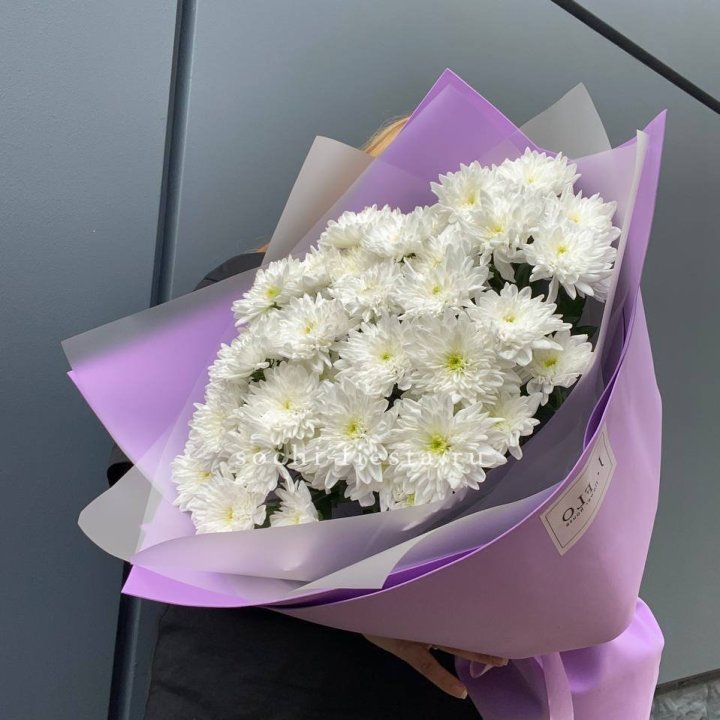  7 хризантем  в Ярославле