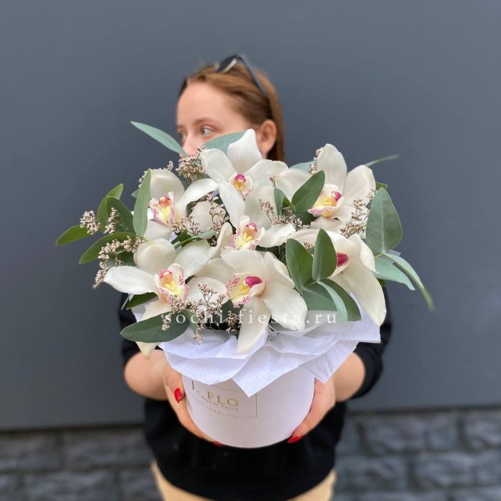 7 орхидей в боксе в Ярославле