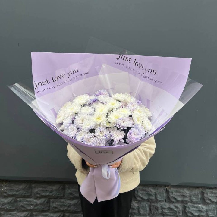 9 воздушных хризантем в Ярославле